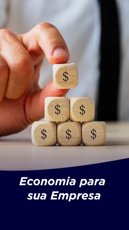 Economia para sua Empresa